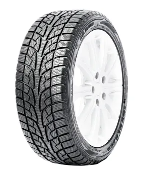 Ice Blazer WSL2 - 205/60R16 92H