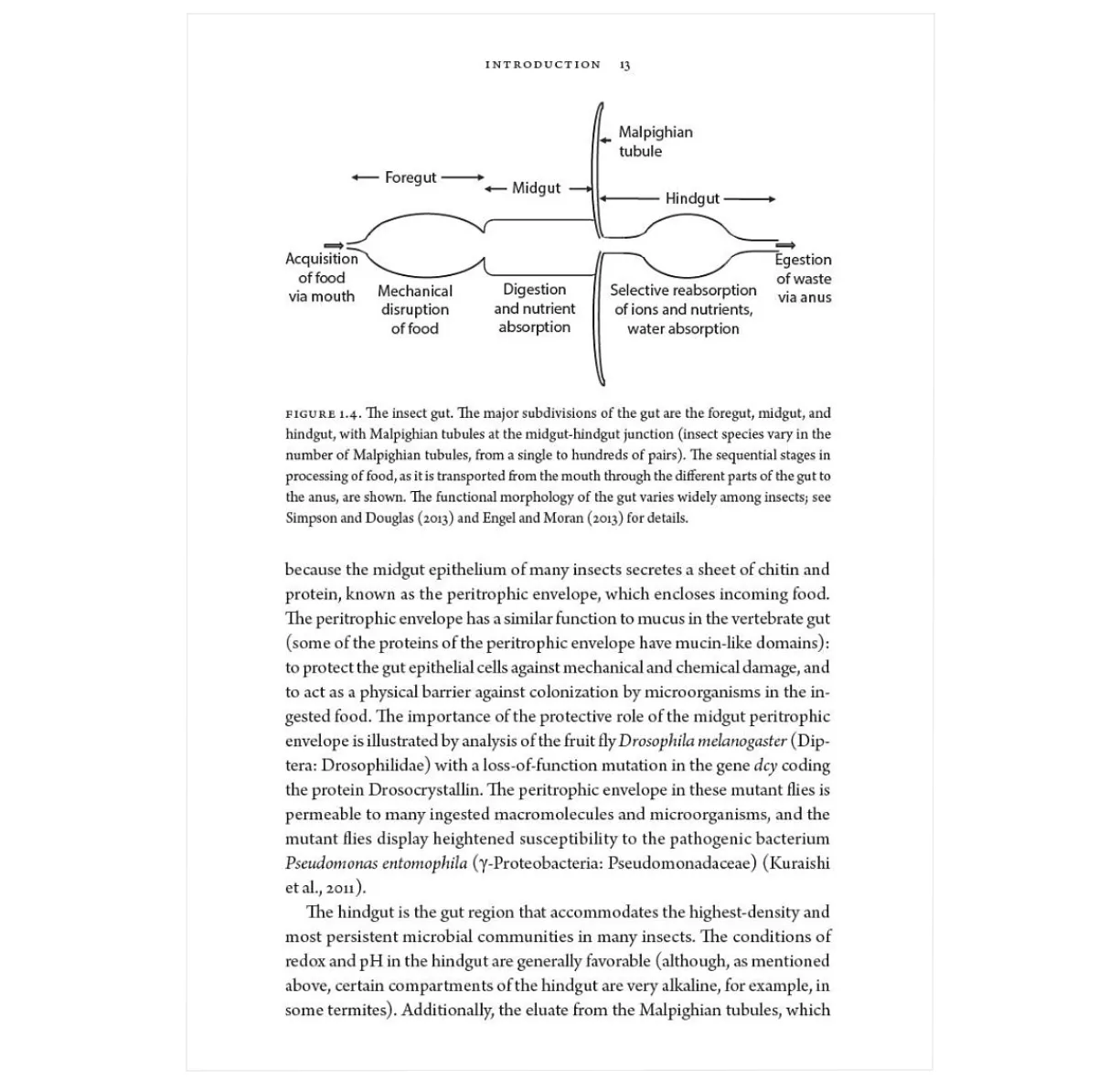 Insects and Their Beneficial Microbes