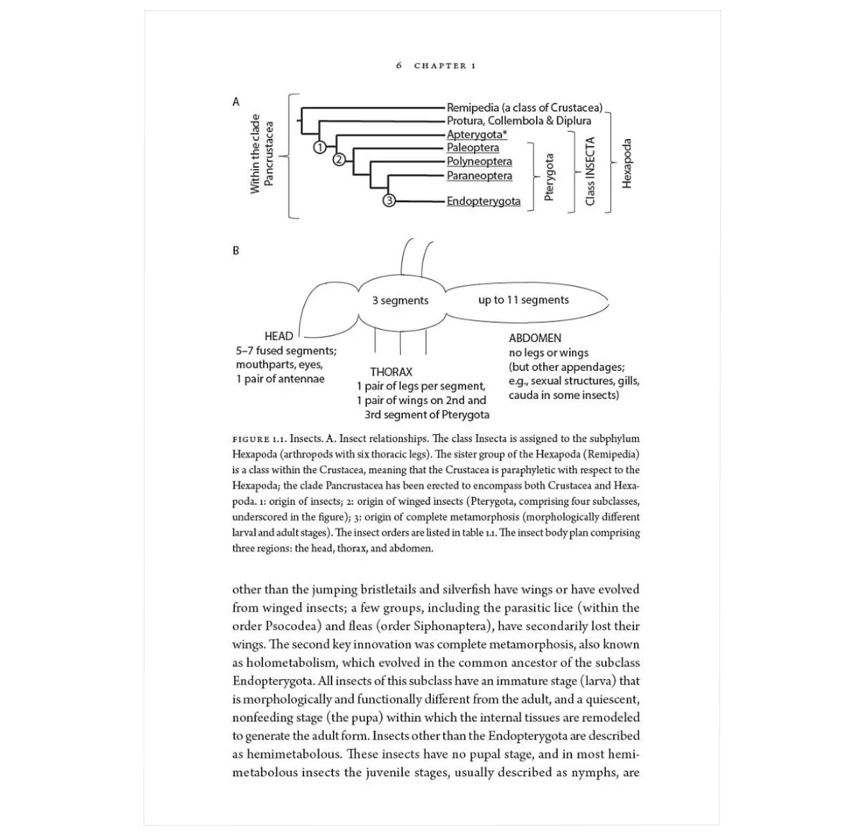 Insects and Their Beneficial Microbes