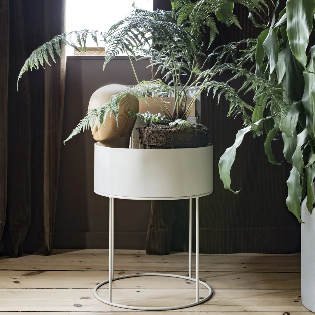 Plant Box - Round