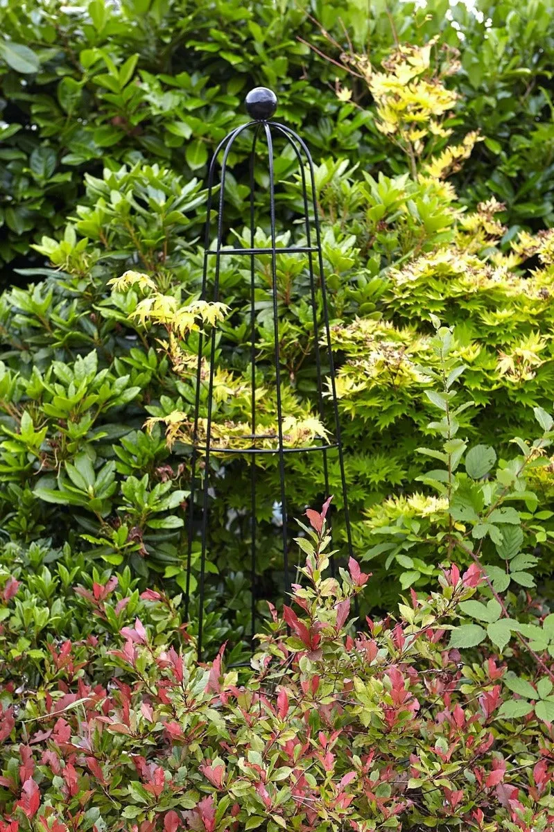 Tom Chambers Abbey Obelisk - Climbing Plant Garden Metal Support - Large